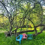 Slow Life Alloggio in famiglia Rabka-Zdrój