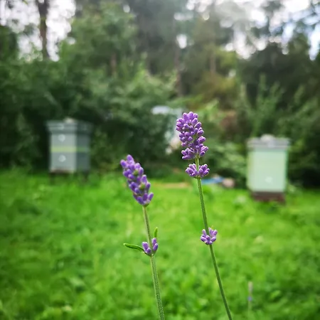 Kwatera prywatna Slow Life *