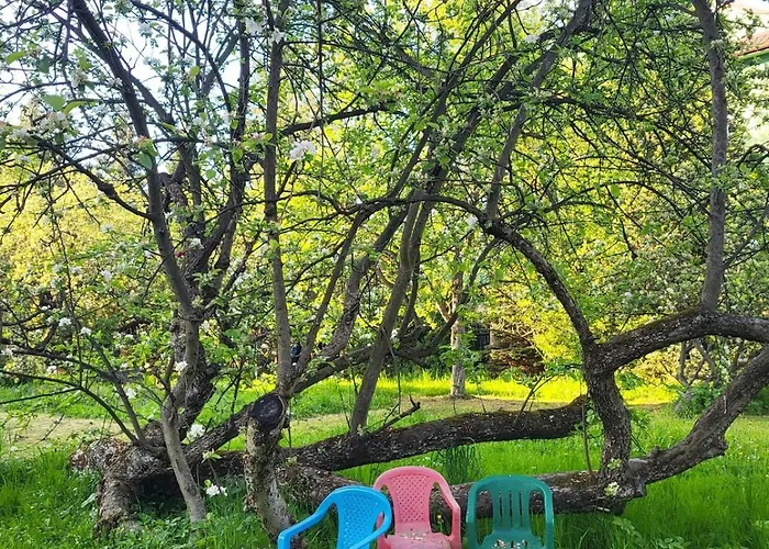 Slow Life Kwatera prywatna Rabka