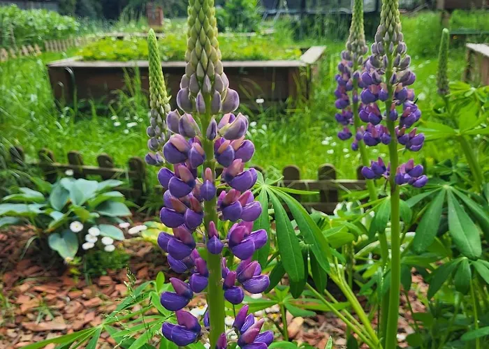 Slow Life Kwatera prywatna