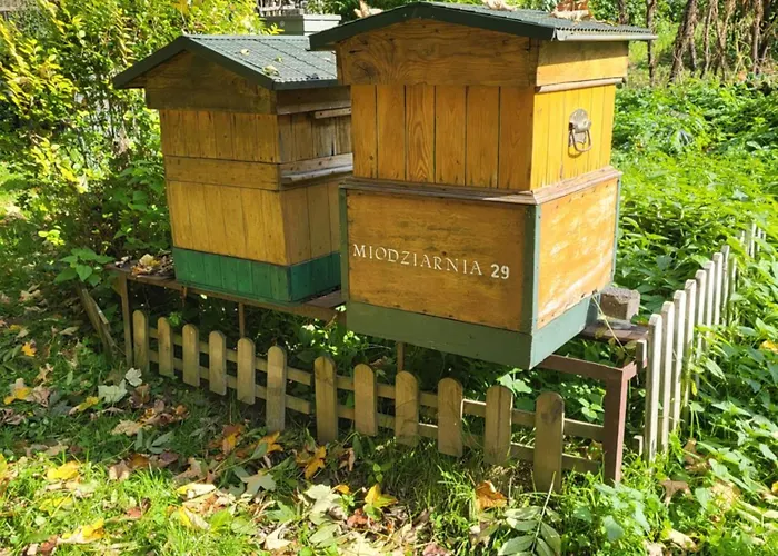 Slow Life Kwatera prywatna Rabka