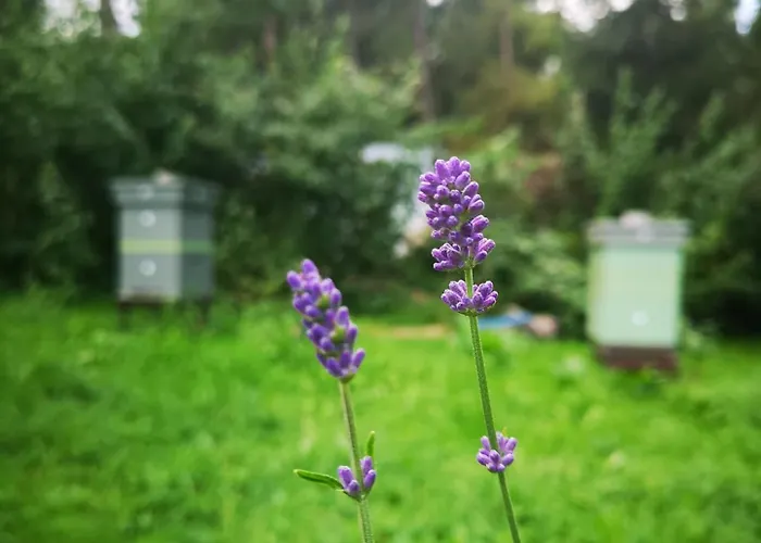 Kwatera prywatna Slow Life *